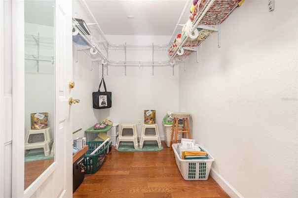 Interior, Walk-in Closets, Wood Texture Flooring