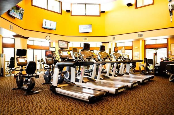 Fitness Equipment, Gym, Interior