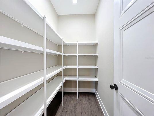Interior, Recessed Lighting, Walk-in Closets, Wood Texture Flooring