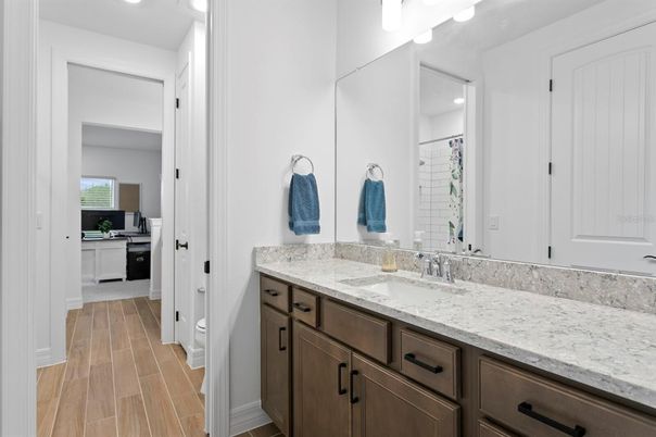 Bathroom, Interior, Wood Texture Flooring
