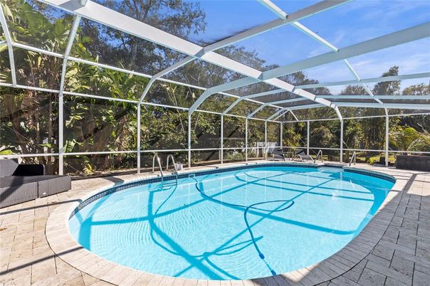 Glass Ceilings, Interior, Pool, Sun Room