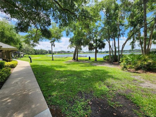 Backyard, Exterior, Water