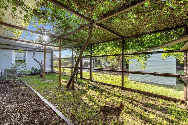 Glass Ceilings, Interior, Sun Room
