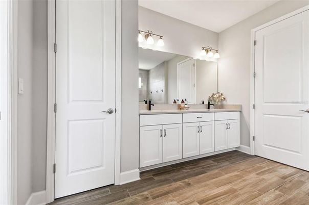 Bathroom, Dual Sink Vanities, Interior, Wood Texture Flooring