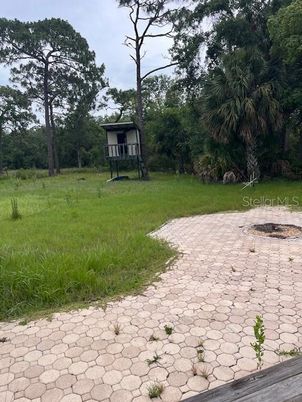 Backyard, Exterior, Playground