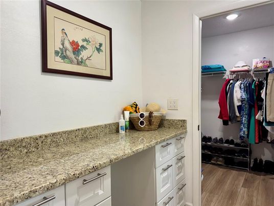 Interior, Recessed Lighting, Walk-in Closets, Wood Texture Flooring