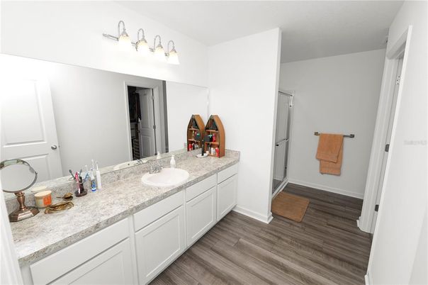 Bathroom, Dual Sink Vanities, Interior, Wood Texture Flooring