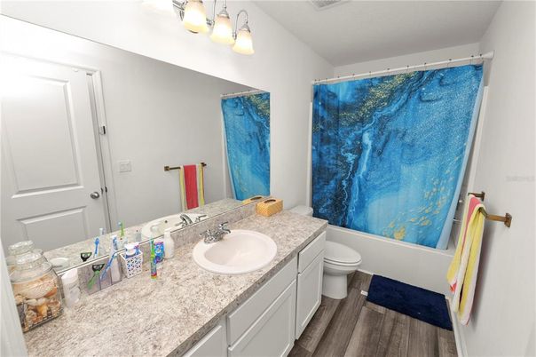 Bathroom, Dual Sink Vanities, Interior, Wood Texture Flooring