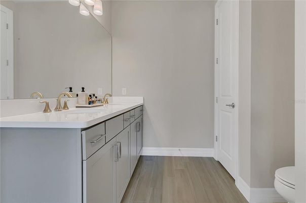Bathroom, Dual Sink Vanities, Interior, Wood Texture Flooring
