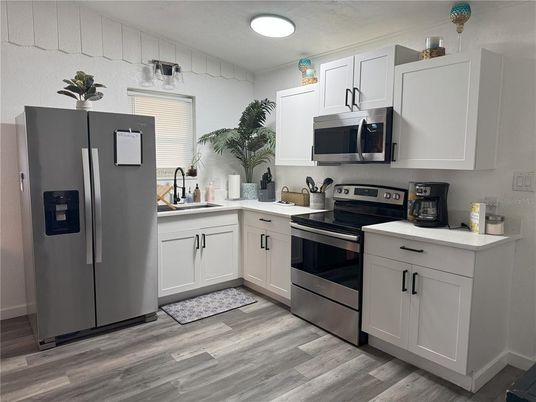 Interior, Kitchen, Stainless Steel Appliances, Wood Texture Flooring