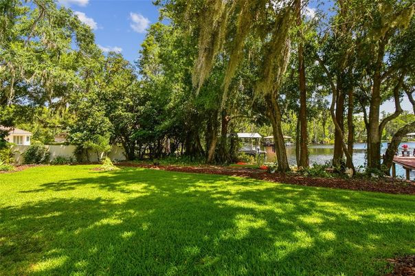 Backyard, Exterior, Water