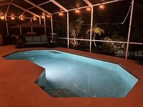 Glass Ceilings, Interior, Pool, Sun Room