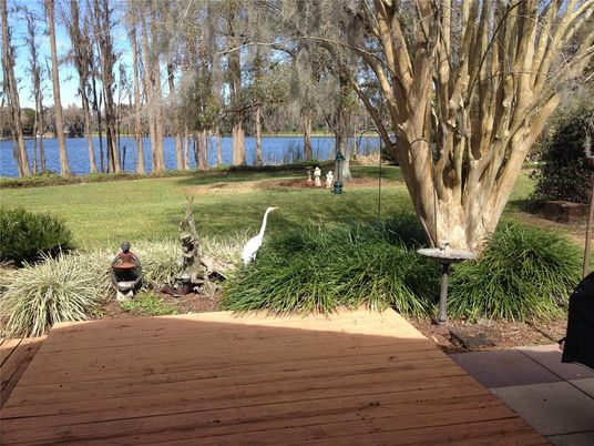 Backyard, Exterior, Water
