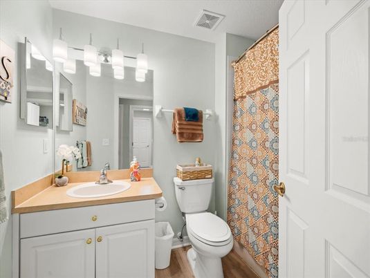 Bathroom, Interior, Wood Texture Flooring