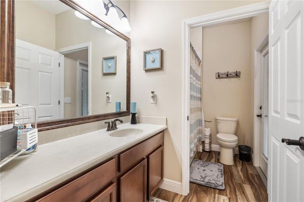 Bathroom, Interior, Wood Texture Flooring
