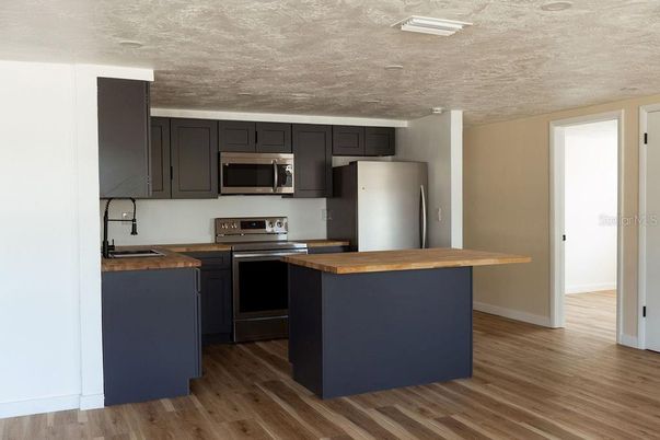 Interior, Kitchen, Stainless Steel Appliances, Wood Texture Flooring