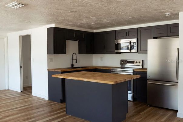 Interior, Kitchen, Stainless Steel Appliances, Wood Texture Flooring