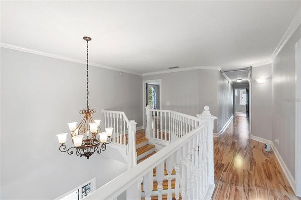 Chandelier, Interior, Wood Texture Flooring