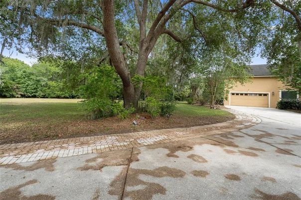 Backyard, Detached Garage, Exterior