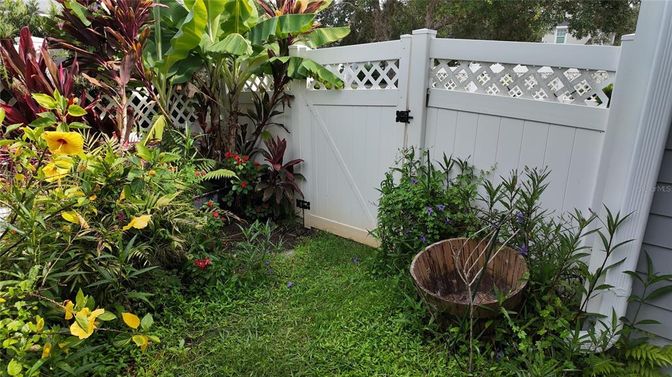 Backyard, Exterior