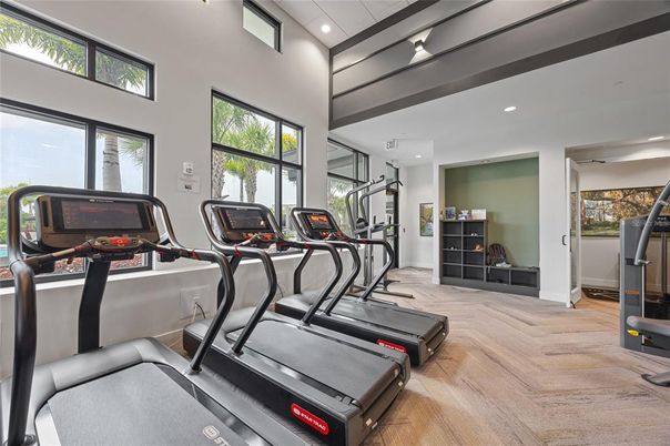 Fitness Equipment, Gym, Interior, Recessed Lighting, Wood Texture Flooring