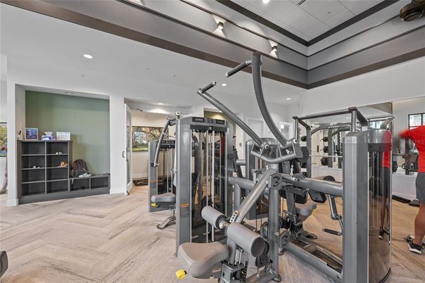 Fitness Equipment, Gym, Interior, Recessed Lighting, Wood Texture Flooring
