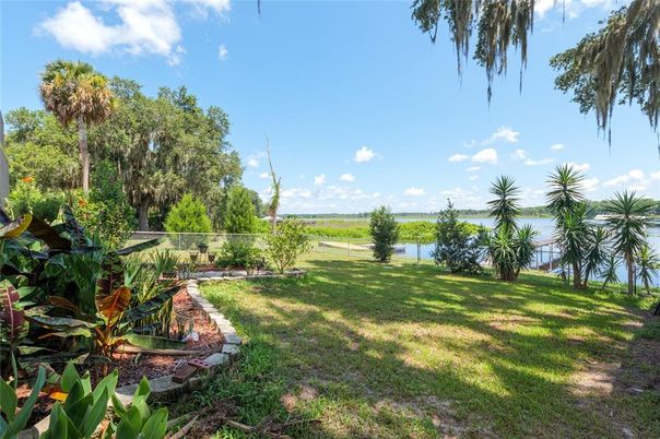 Backyard, Exterior, Water