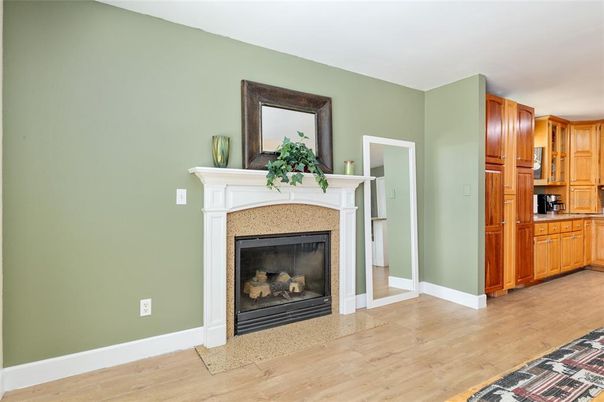 Fireplace, Interior, Kitchen, Wood Texture Flooring