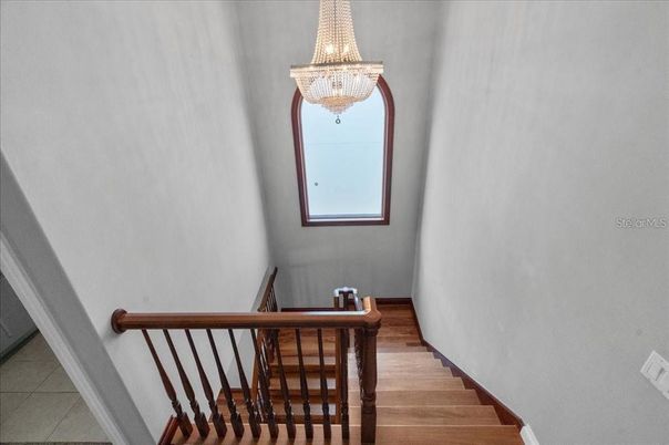 Chandelier, Interior, Wood Texture Flooring