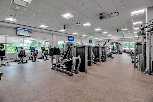 Fitness Equipment, Gym, Interior, Recessed Lighting