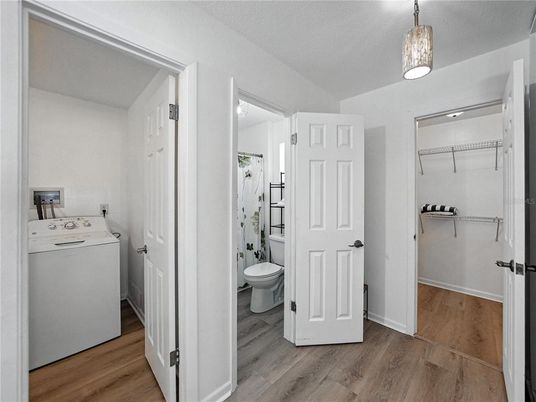 Bathroom, Interior, Pendant Lights, Utility Closets, Washer, Wood Texture Flooring