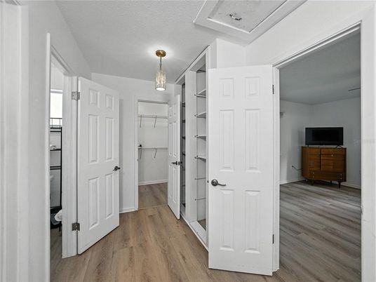 Interior, Walk-in Closets, Wood Texture Flooring