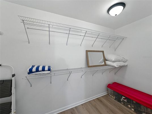 Interior, Walk-in Closets, Wood Texture Flooring