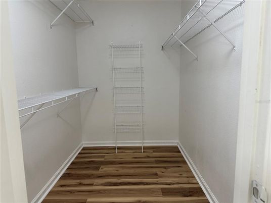 Interior, Walk-in Closets, Wood Texture Flooring