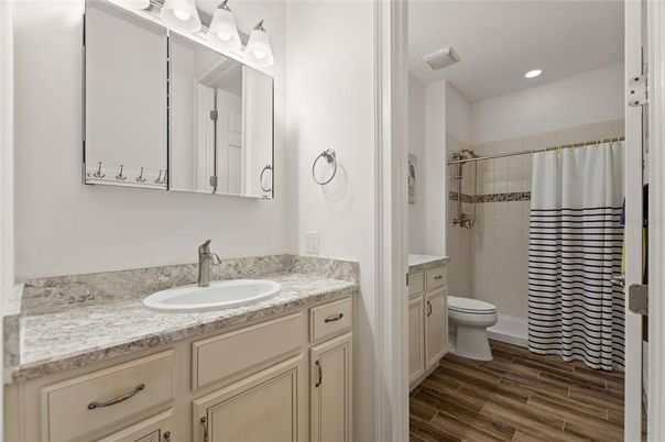 Bathroom, Interior, Recessed Lighting, Wood Texture Flooring