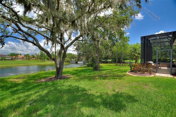 Backyard, Exterior, Water