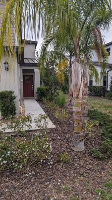 Backyard, Exterior, Facade, Spanish Mediterranean