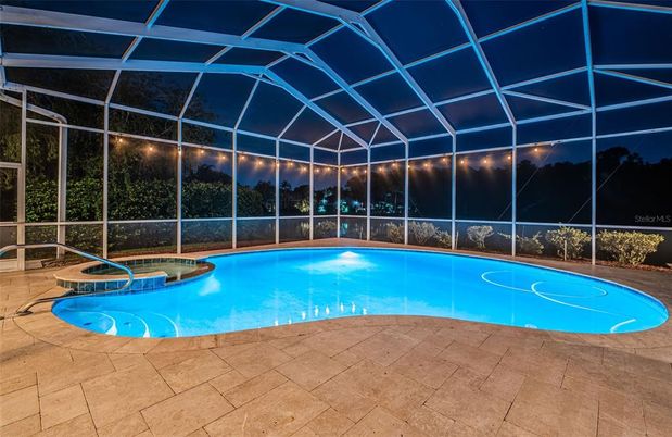 Glass Ceilings, Interior, Pool, Sun Room