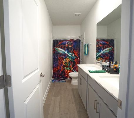 Bathroom, Interior, Wood Texture Flooring
