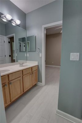 Bathroom, Dual Sink Vanities, Interior, Wood Texture Flooring