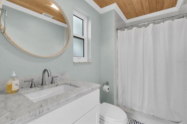 Bathroom, Interior, Wooden Ceilings