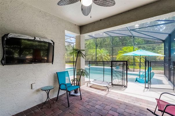 Glass Ceilings, Interior, Pool, Sun Room