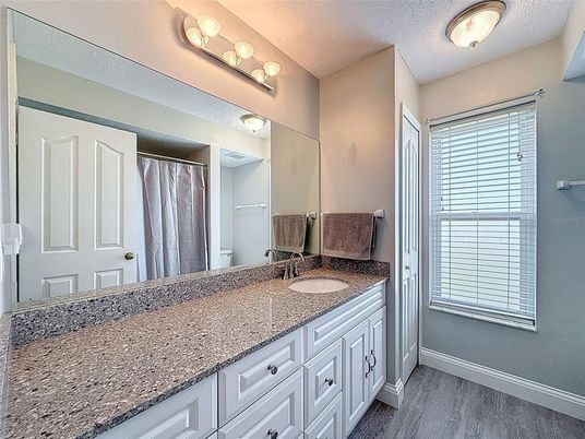 Bathroom, Dual Sink Vanities, Interior, Wood Texture Flooring