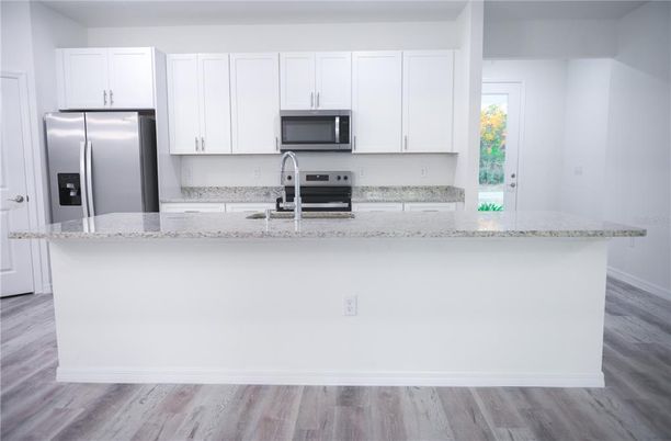 Interior, Kitchen, Stainless Steel Appliances, Wood Texture Flooring