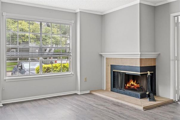 Fireplace, Interior, Wood Texture Flooring