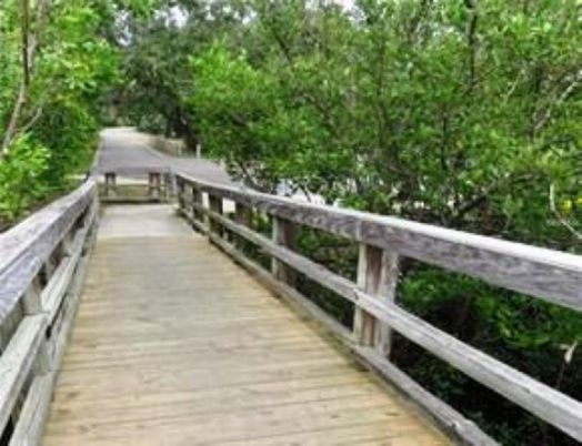 Exterior, Wood Texture Flooring
