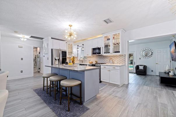 Interior, Kitchen, Stainless Steel Appliances, Wood Texture Flooring