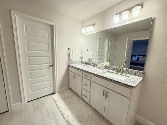 Bathroom, Dual Sink Vanities, Interior, Wood Texture Flooring