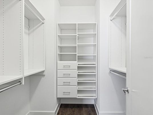 Interior, Walk-in Closets, Wood Texture Flooring