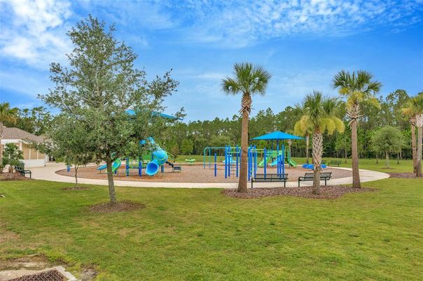 Backyard, Exterior, Playground